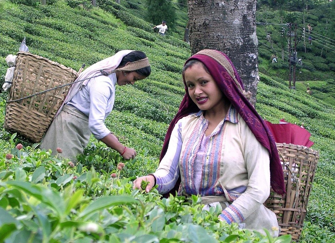14 Night 15 Days Sikkim Package Tour 